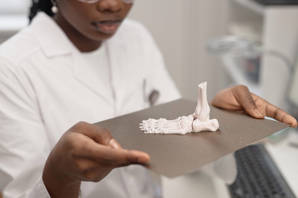 Technician Holding Print Bed with 3D Anatomical Sample